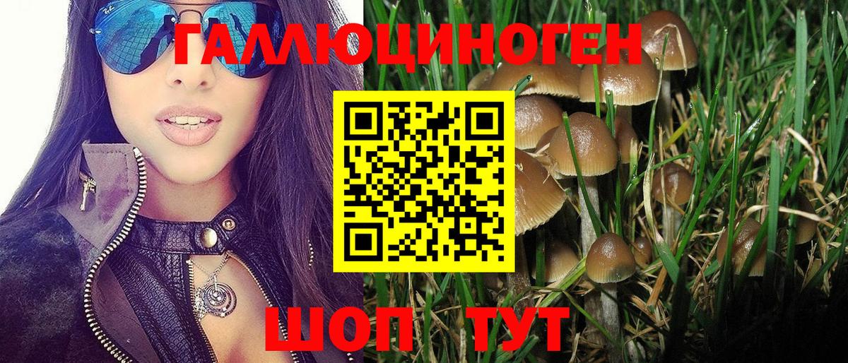 Галлюциногенные грибы Psilocybe Кострома