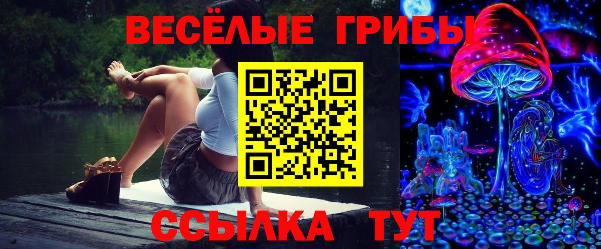 Кострома  Галлюциногенные грибы Magic Shrooms  где найти   Псилоцибиновые грибы Psilocybe  Вход с VPN 