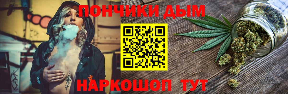 Бошки Шишки планчик Кострома