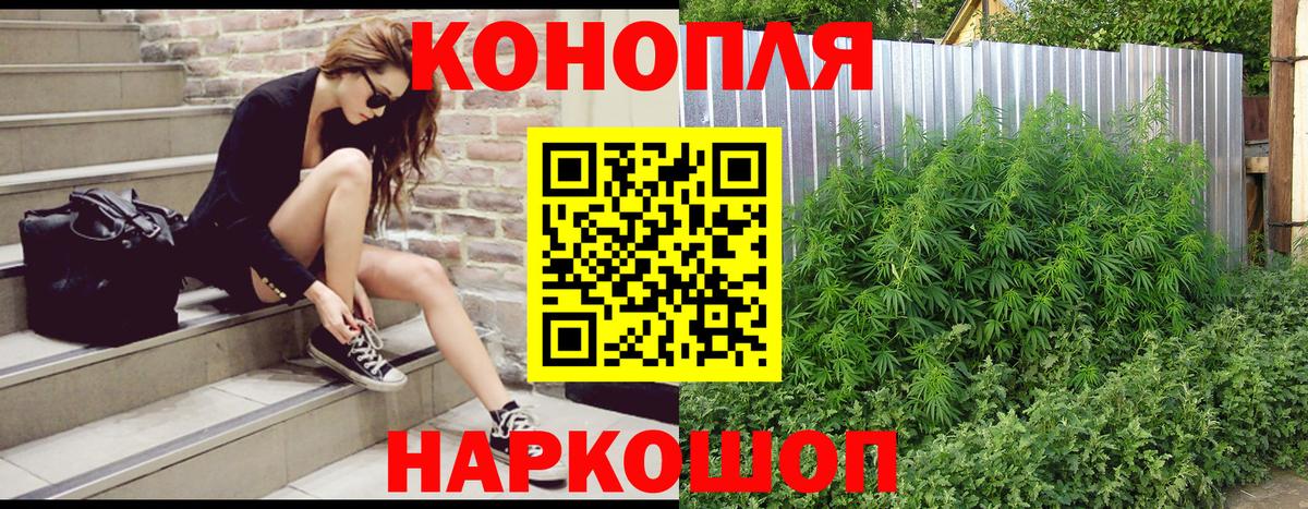 Бошки марихуана OG Kush  Вход с VPN  Кострома  Канабис Bruce Banner 